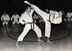 karate